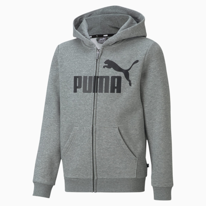 Sweat à Capuche Puma Enfant Essentiels Big Logo - Gris