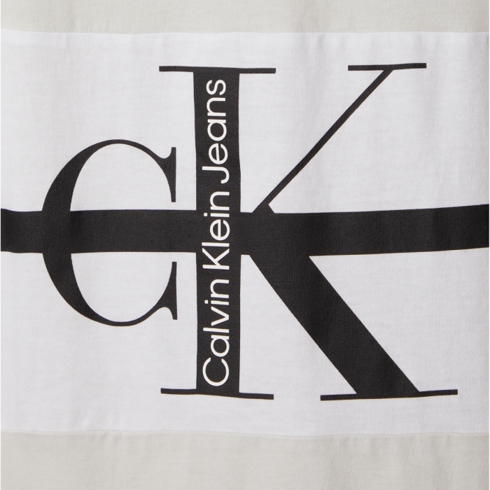 Calvin Klein T-Shirt Logo Dos Blanc