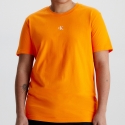T-Shirt Calvin Klein Logo - Orange
